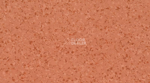 Линолеум Mipolam Affinity 4435 Butternut фото 1 | FLOORDEALER